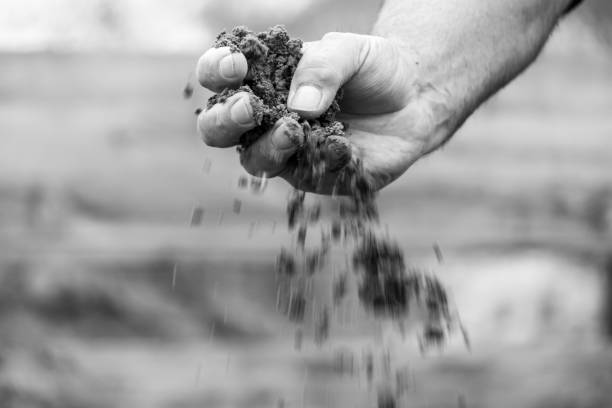 Sifting with hands and pouring dirt and sand at field. Black and white shot
